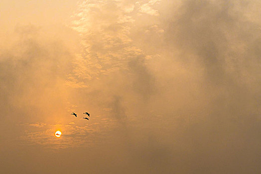 soi cầu đề hôm nay
