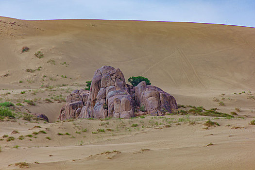 bạch thủ đề chuẩn