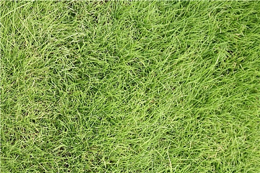 xổ số miền nam hôm nay