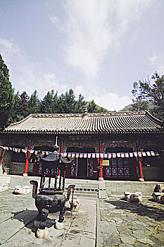 soi cau bach thu lo khung 3 ngay