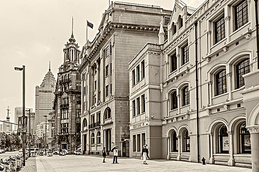 bạch thu lo