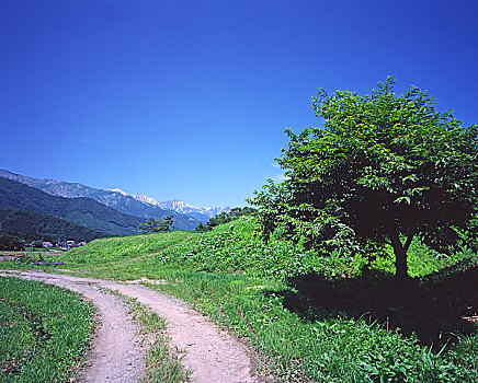 du doan soi cau 3 mien