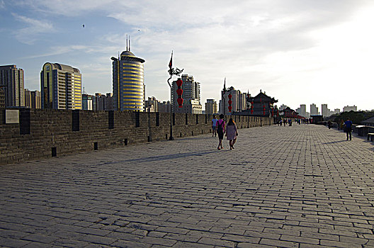 soi cau 100
