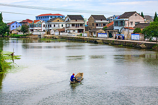 rong bach kim mb