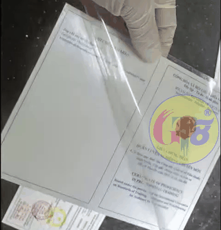 bóc ép plastic hải phòng gt8jbw