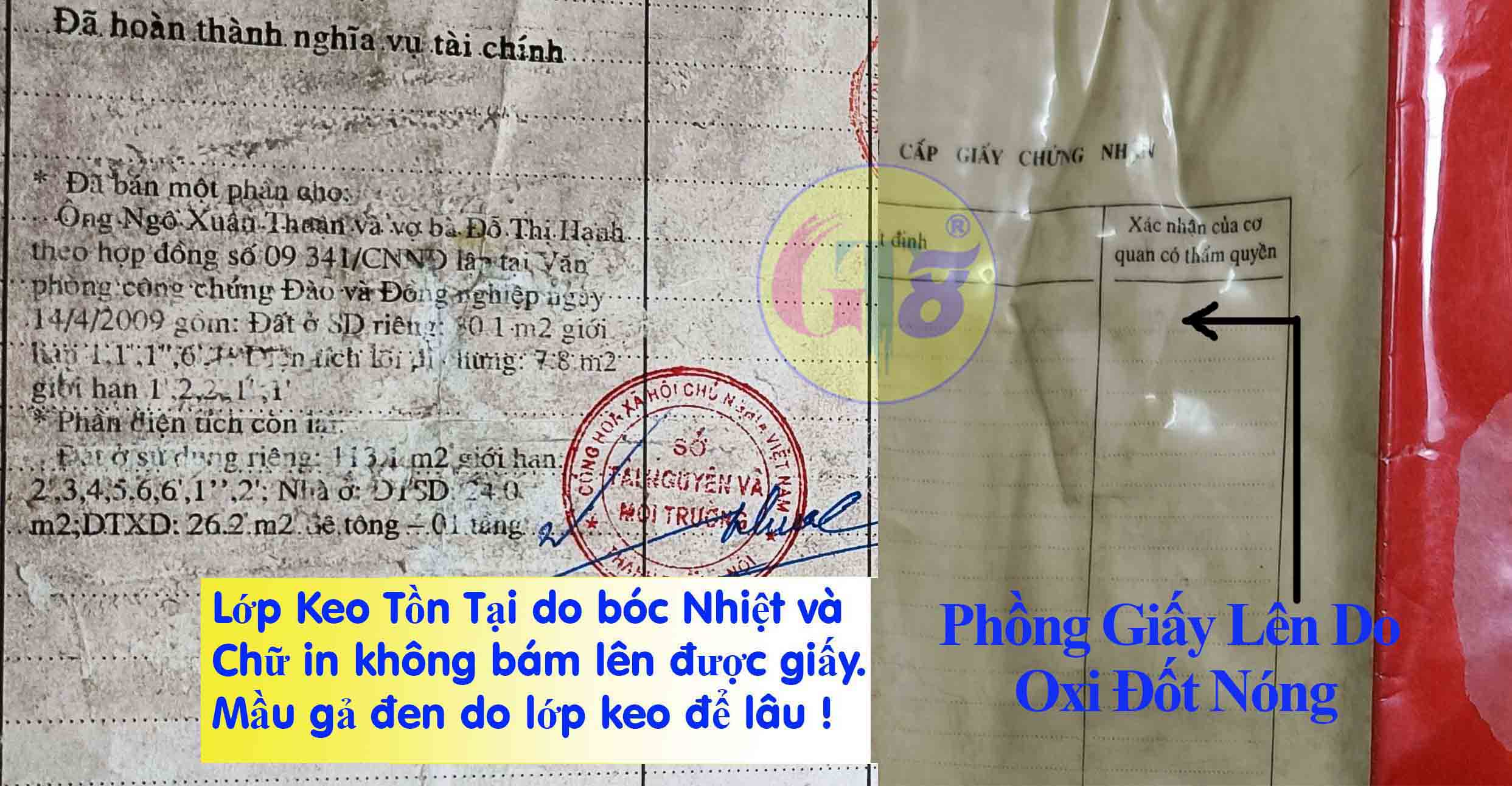 bóc ép plastic tại hà nội gt8jha