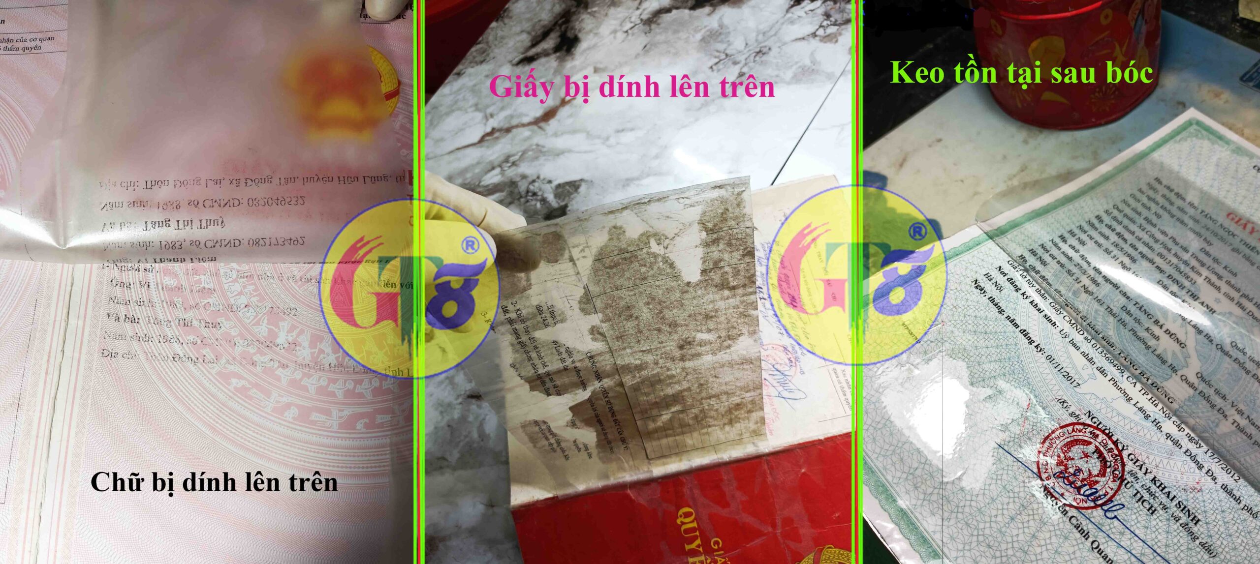 bóc ép plastic tại hà nội gt8j
